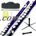 Sky Closed Hole C Flute with Lightweight Case, Cleaning Rod, Cloth, Joint Grease and Screw Driver - Purple Silver   